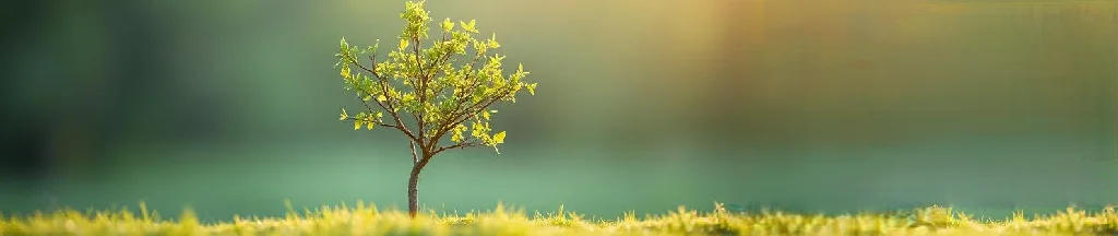 Spring/Summer seasonal image